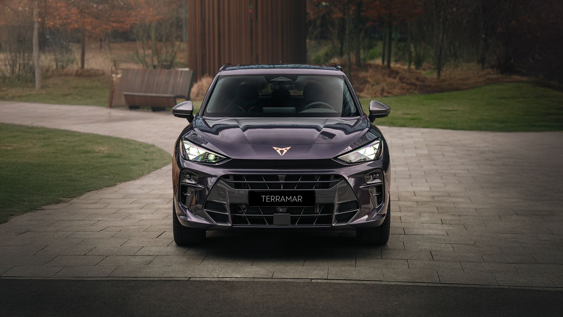 CUPRA Terramar parked  at the side of a park