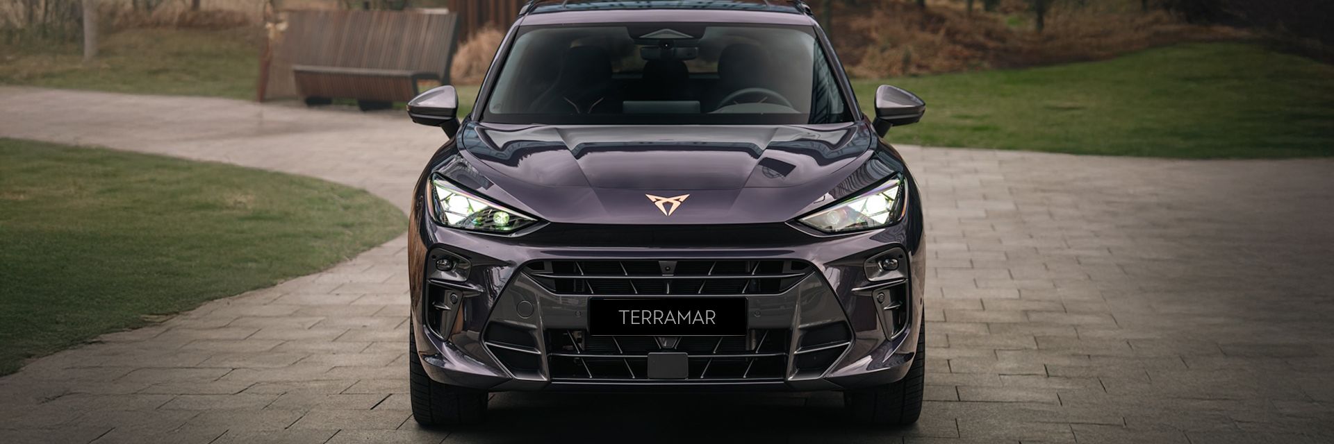 CUPRA Terramar parked  at the side of a park