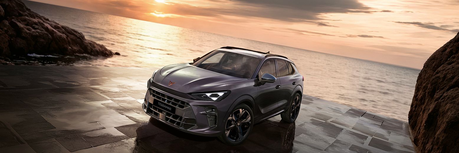 CUPRA Terramar parked at the side of the ocean with the back facing a orange sunset